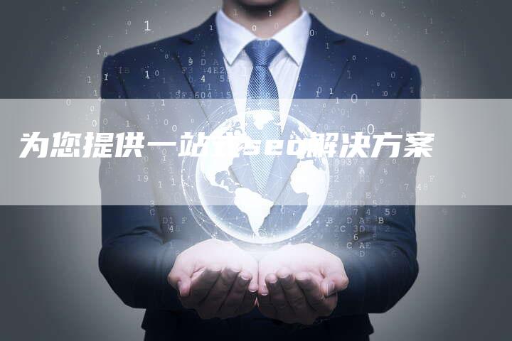 为您提供一站式seo解决方案