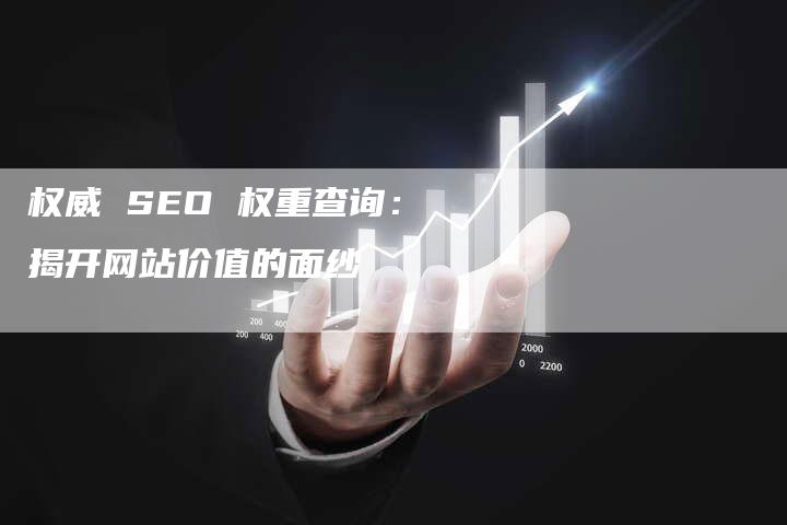 权威 SEO 权重查询：揭开网站价值的面纱