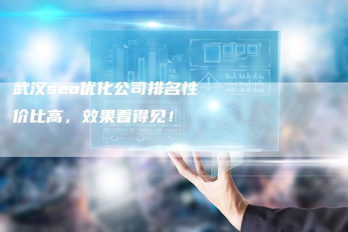 武汉seo优化公司排名性价比高，效果看得见！