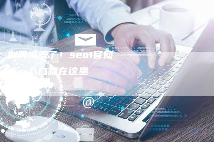 别再搜索了！seo1官网唯一入口就在这里
