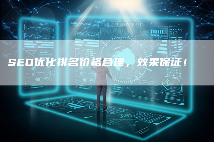 SEO优化排名价格合理，效果保证！