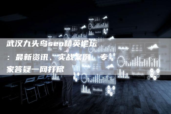 武汉九头鸟seo精英论坛：最新资讯、实战案例、专家答疑一网打尽