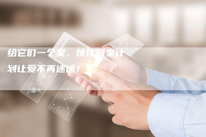 给它们一个家,伙伴回家计划让爱不再迷途!-九九文章网