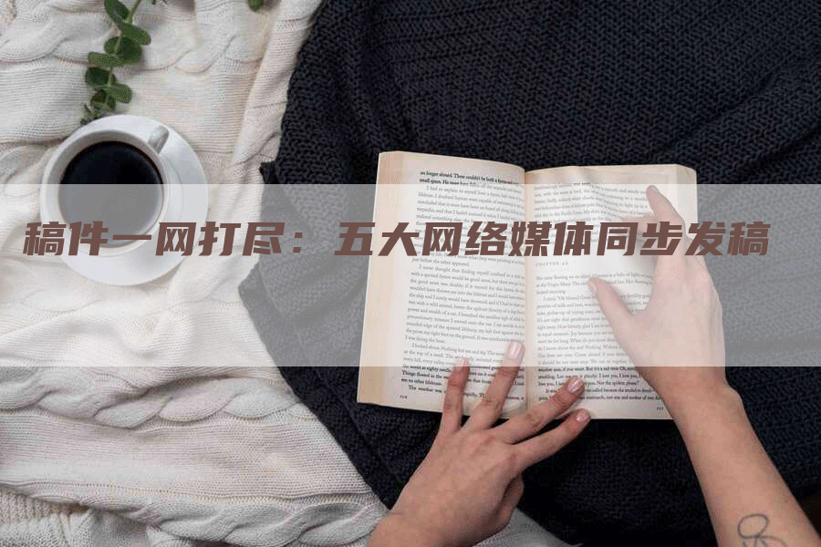 稿件一网打尽：五大网络媒体同步发稿