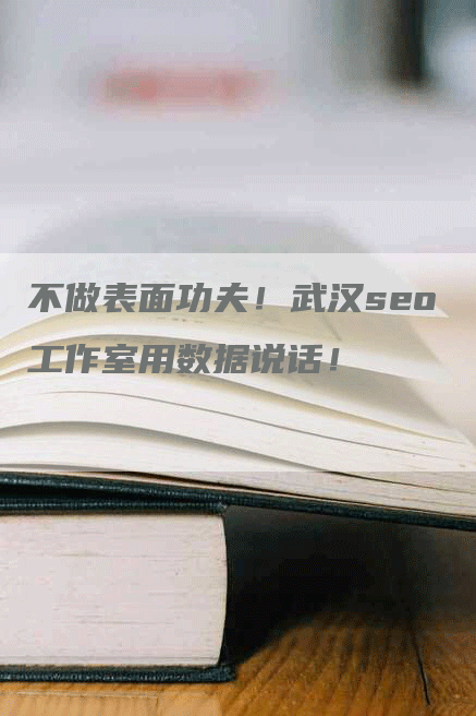不做表面功夫！武汉seo工作室用数据说话！