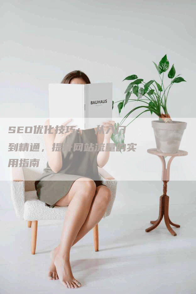 SEO优化技巧： 从入门到精通，提升网站流量的实用指南