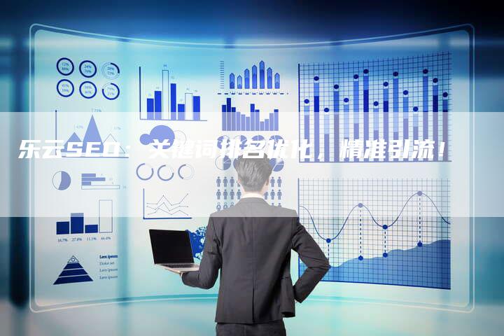 乐云SEO：关键词排名优化，精准引流！