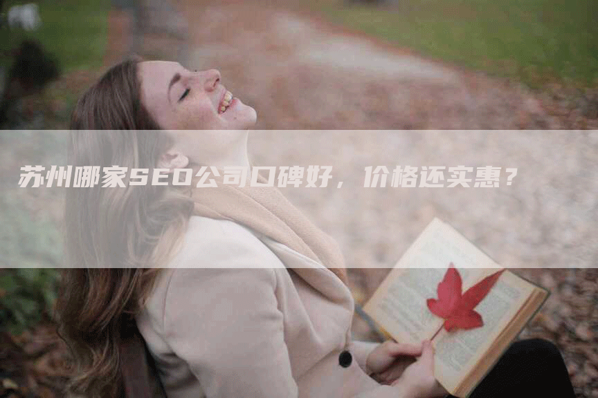 苏州哪家SEO公司口碑好，价格还实惠？
