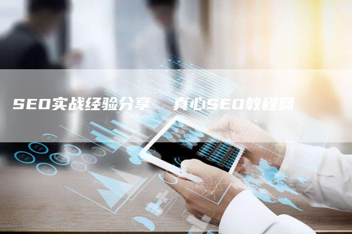 SEO实战经验分享  真心SEO教程网