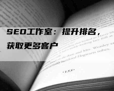 SEO工作室：提升排名，获取更多客户