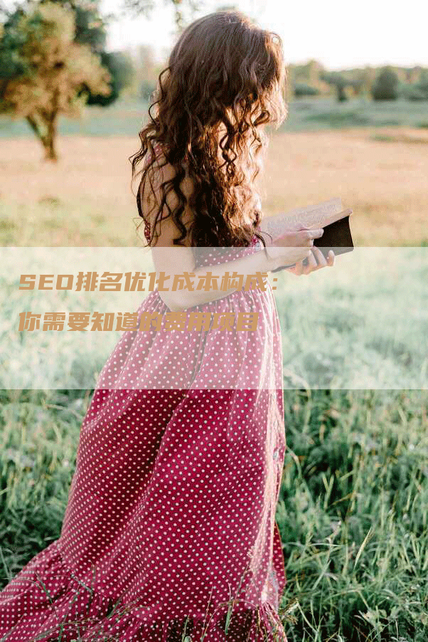 SEO排名优化成本构成：你需要知道的费用项目