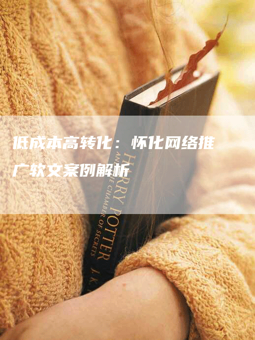 低成本高转化：怀化网络推广软文案例解析