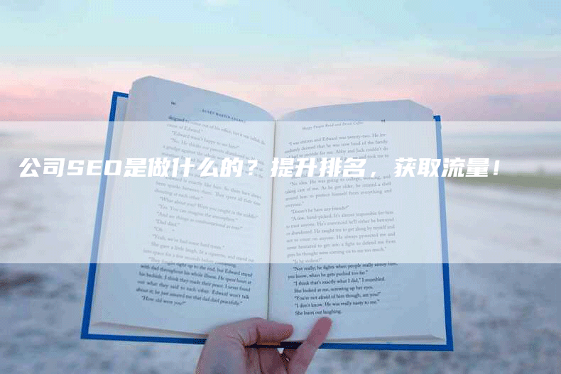 公司SEO是做什么的？提升排名，获取流量！