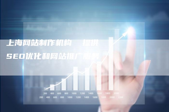 上海网站制作机构  提供SEO优化和网站推广服务