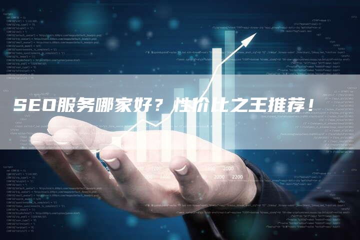 SEO服务哪家好？性价比之王推荐！
