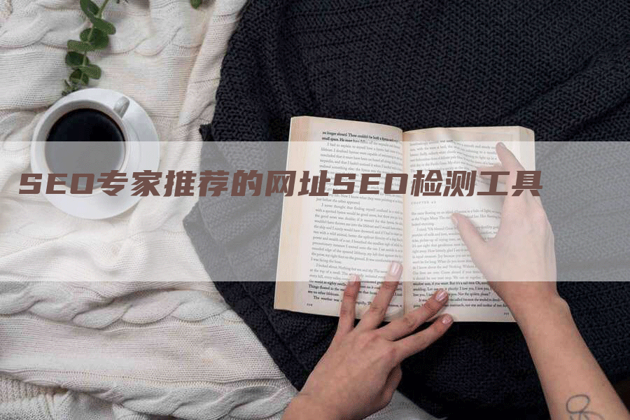 SEO专家推荐的网址SEO检测工具-九九文章网