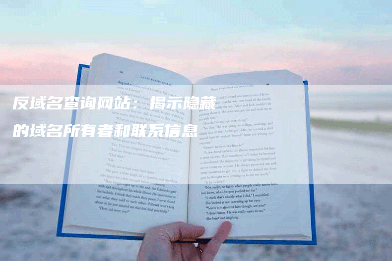 反域名查询网站:揭示隐藏的域名所有者和联系信息-九九文章网