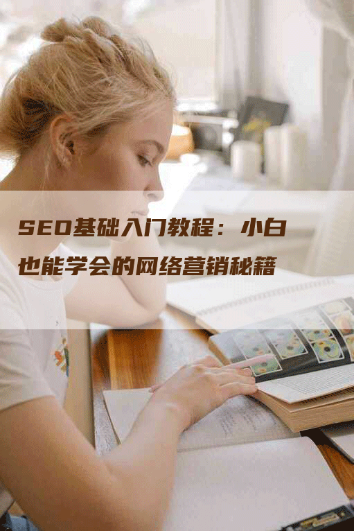 SEO基础入门教程：小白也能学会的网络营销秘籍