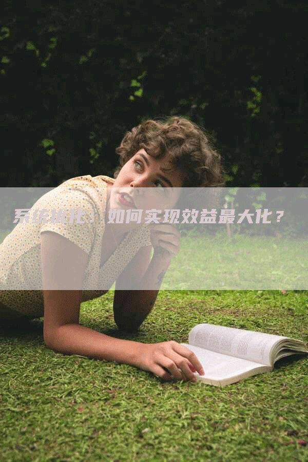 系统优化：如何实现效益最大化？
