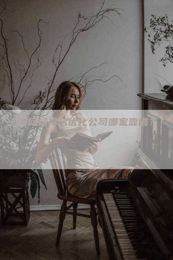 上海网站排名优化公司哪家靠谱？