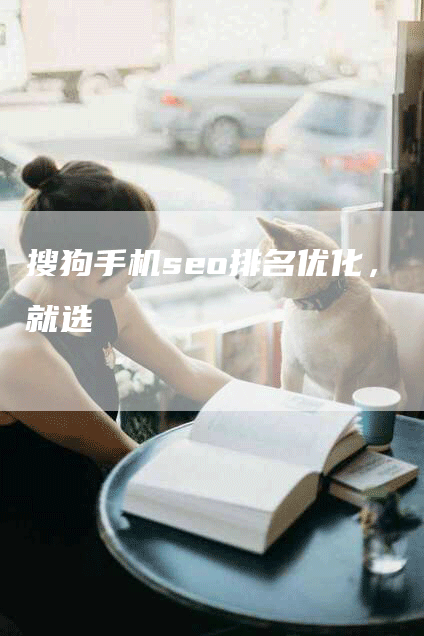 搜狗手机seo排名优化，就选