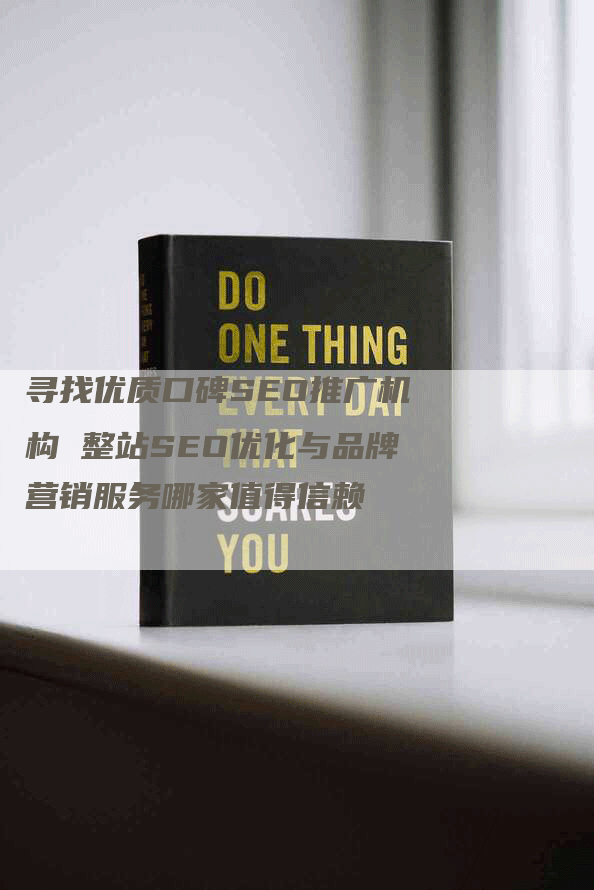 寻找优质口碑SEO推广机构 整站SEO优化与品牌营销服务哪家值得信赖