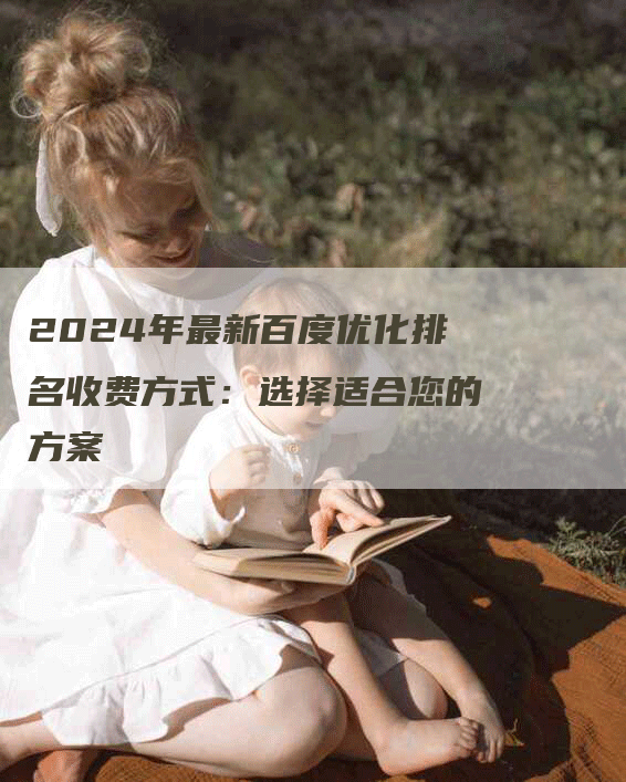 2024年最新百度优化排名收费方式：选择适合您的方案