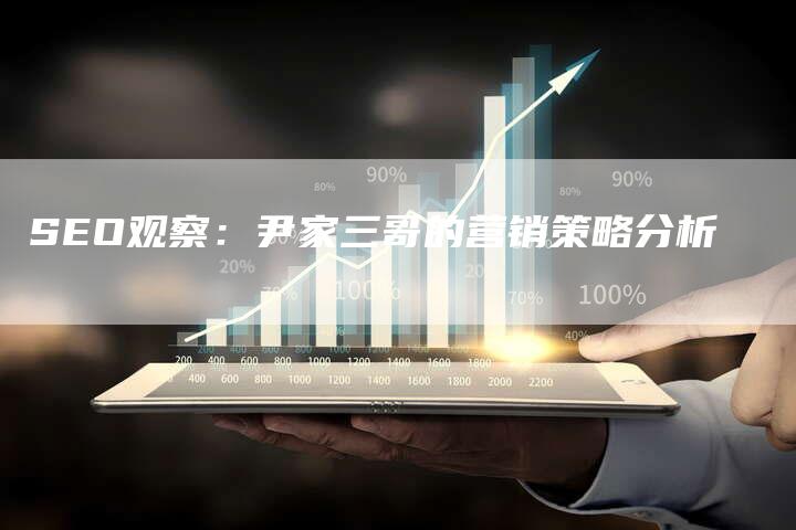 SEO观察:尹家三哥的营销策略分析-九九文章网