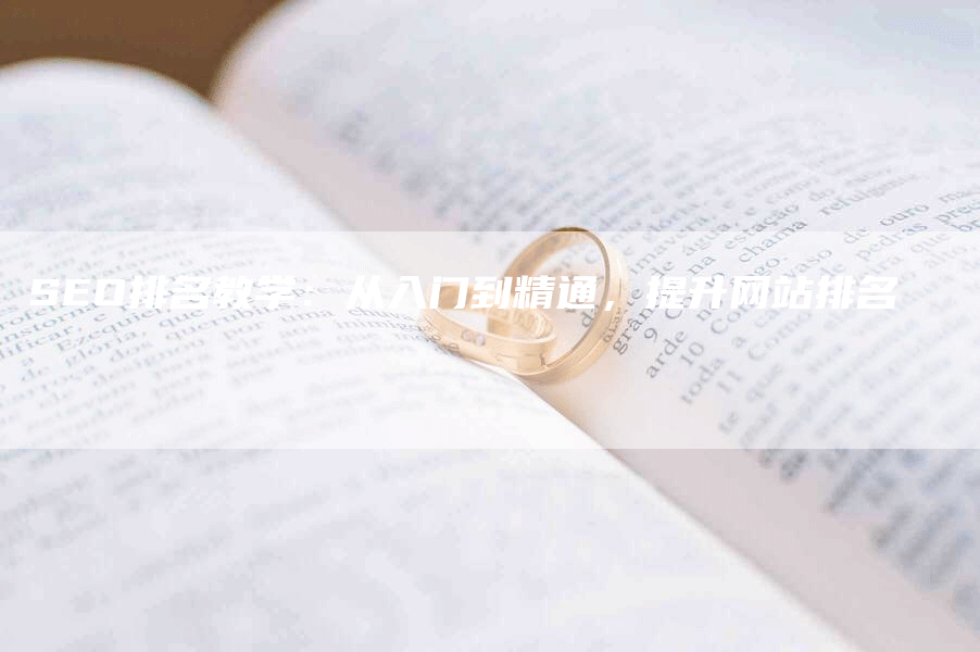 SEO排名教学：从入门到精通，提升网站排名