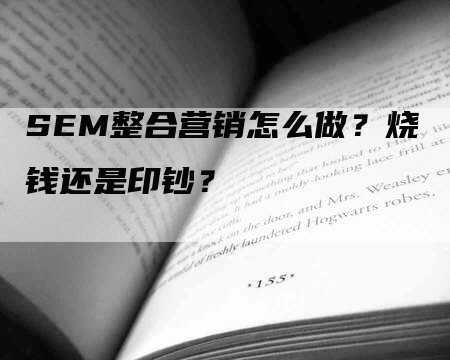 SEM整合营销怎么做？烧钱还是印钞？