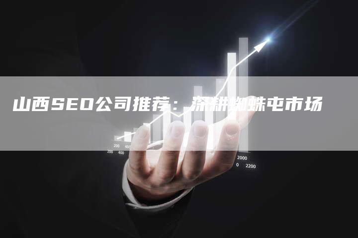 山西SEO公司推荐：深耕蜘蛛屯市场