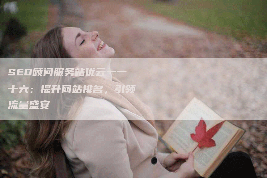 SEO顾问服务站优云一一十六：提升网站排名，引领流量盛宴