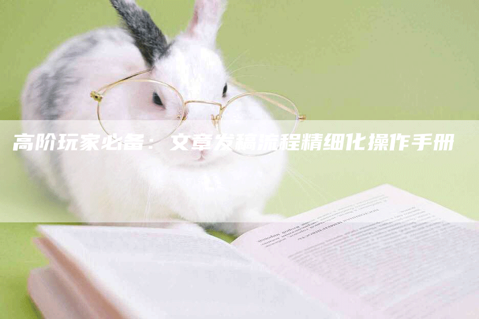 高阶玩家必备：文章发稿流程精细化操作手册