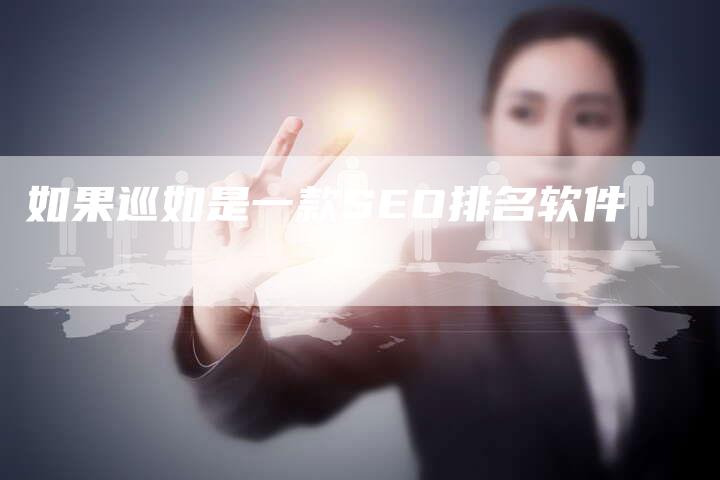 如果巡如是一款SEO排名软件