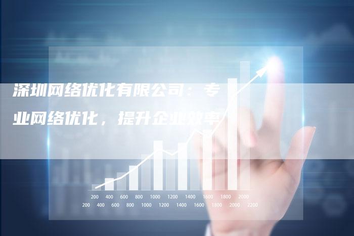 深圳网络优化有限公司：专业网络优化，提升企业效率