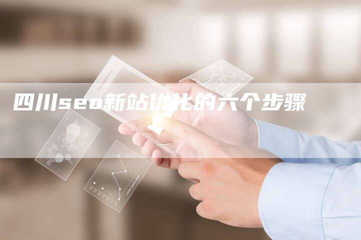 四川seo新站优化的六个步骤