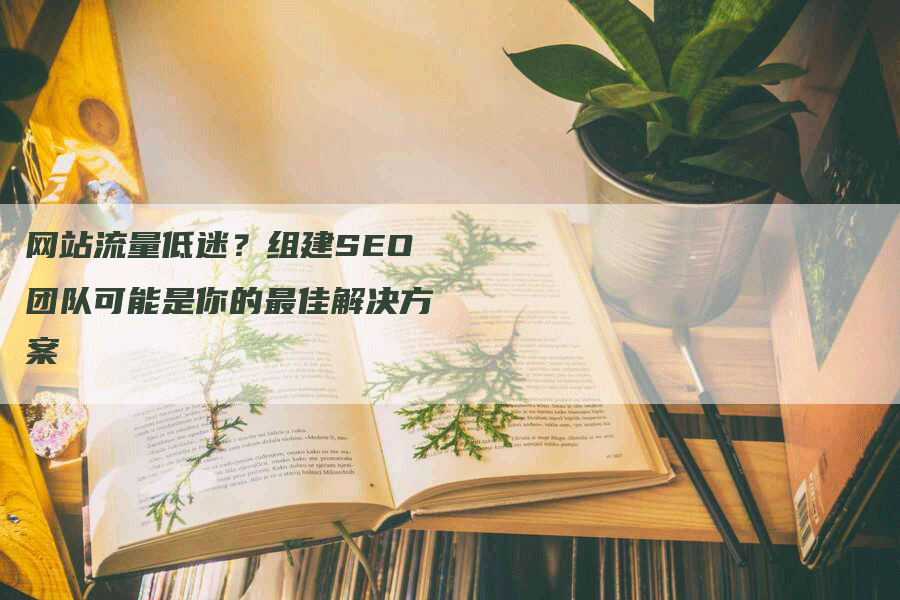 网站流量低迷？组建SEO团队可能是你的最佳解决方案