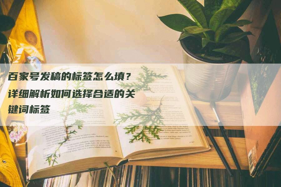 百家号发稿的标签怎么填?详细解析如何选择合适的关键词标签-九九文章网