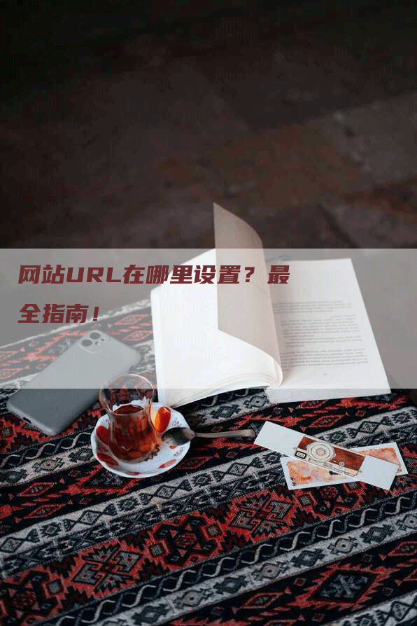 网站URL在哪里设置？最全指南！