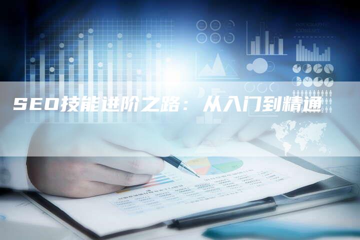 SEO技能进阶之路：从入门到精通