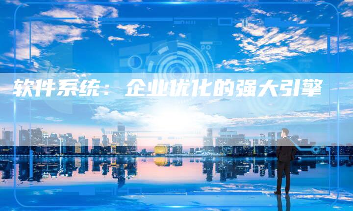 软件系统：企业优化的强大引擎