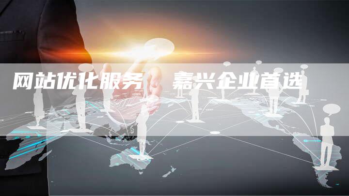 网站优化服务  嘉兴企业首选