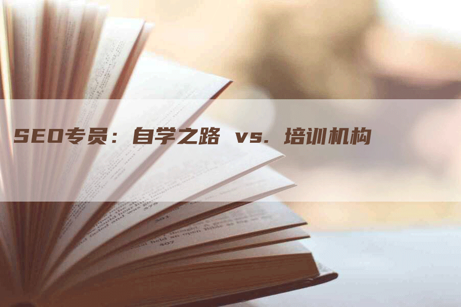 SEO专员：自学之路 vs. 培训机构