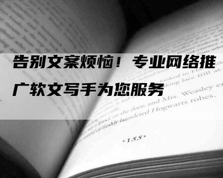 告别文案烦恼！专业网络推广软文写手为您服务