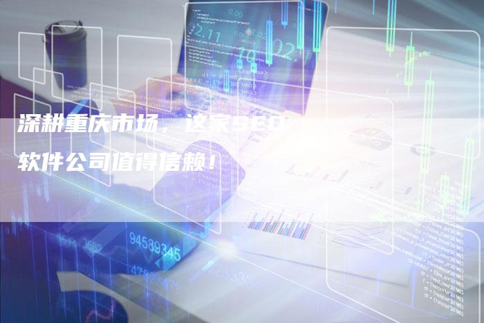 深耕重庆市场，这家SEO软件公司值得信赖！