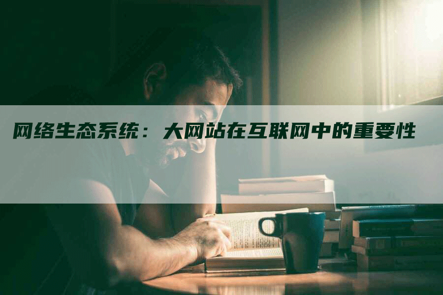 网络生态系统：大网站在互联网中的重要性