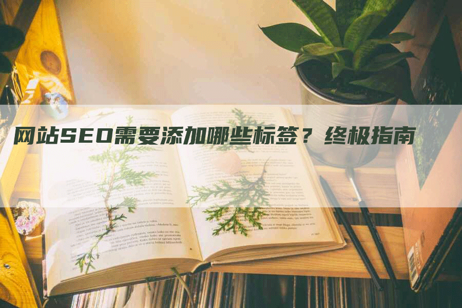 网站SEO需要添加哪些标签？终极指南
