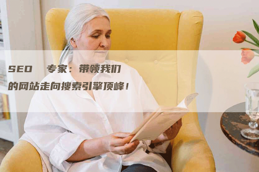 SEO  专家：带领我们的网站走向搜索引擎顶峰！