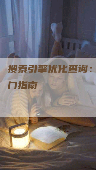 搜索引擎优化查询：新手入门指南