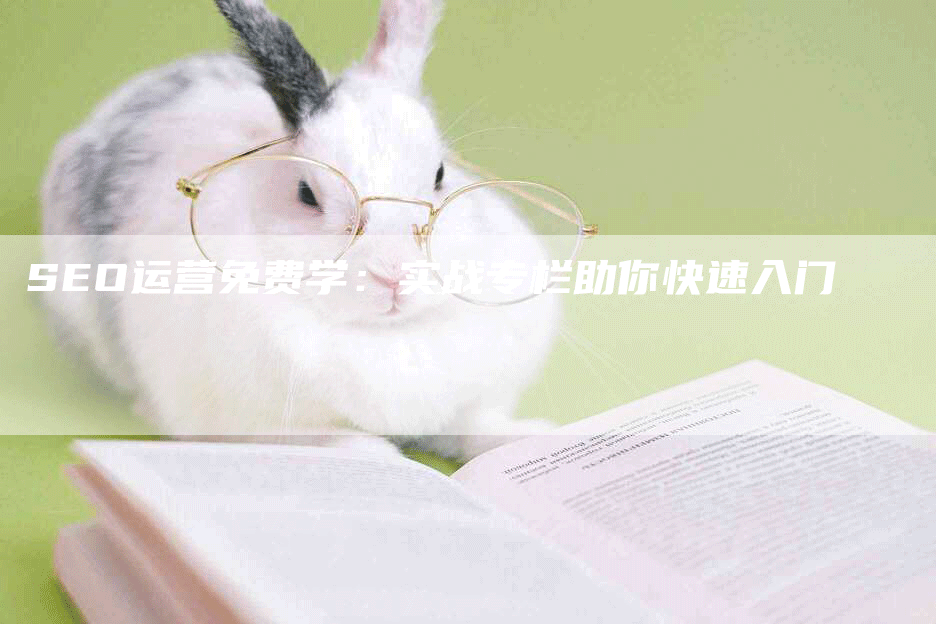 SEO运营免费学：实战专栏助你快速入门